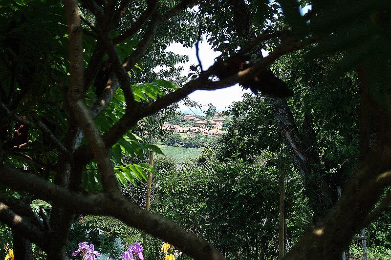 2010-06- (95).JPG